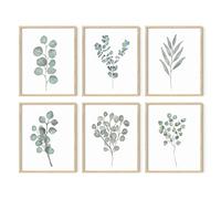 HAUS AND HUES Leaf Prints Botanical Wall Decor - Set of 6 Botanical Art Prints & Eucalyptus Leaves Wall Decor| Unframed, 8" x 10"