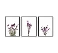 HAUS AND HUES Purple Floral Wall Art Set of 3 - Lavender Flower Picture for Bedroom, 3 Botanical Prints, Floral Art Prints, Plant Posters for Room Aesthetic (12x16, UNFRAMED)