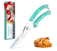 HAUSHOF Poultry Shears 255mm, Heavy Duty Stainless Steel Sharp Kitchen Scissors, Cooking Scissors for Meat, Chicken, Fish, Bone, Vegetables