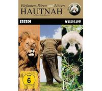 Hautnah - Elefanten, Bären und Löwen: BBC Wildlife