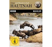 Hautnah - Gnus auf Wanderschaft: BBC Wildlife