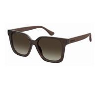 Havaianas Womens Imbe S G Square Sunglasses