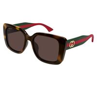 Havana and Green/Brown / 55
