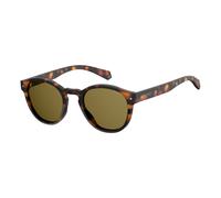 Polaroid PLD 6042/S 086 HAVANA, 49, PANTOS, Polarized