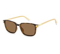 Havana/Brown Polarised / 54