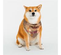 Havana Dog Pet Scarf Stylish Triangle Bid Scarf Bandana Pet Accessory,Washable Pet Kerchief for Girl Boy Dogs or Cats Medium