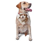 Havanese Puppy DogDog Bandanas Cat Puppy Scarfs Washable Pet Handkerchief