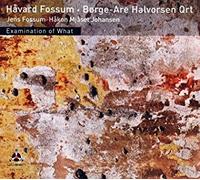 Havard Fossum & Borge-Are Halvorsen - Examination Of What