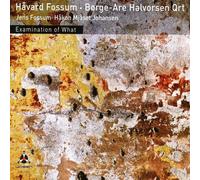 Havard Fossum, Borge Are Halvorsen - Examination of What
