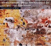 Havard Fossum & Borge-Are Halvorsen Qrt Examination of What (CD) (US IMPORT)