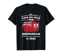 Have No Fear The Bermudian is Here Halloween Bermuda Flag Value Graphic T-Shirt, Men, Black, XL