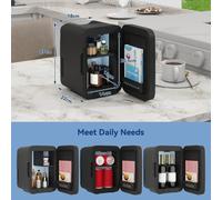 Havendro 4L Black LED Mirror Mini Fridge 4L Portable Beauty Cooler & Warmer Havendro Black