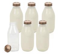 Havendro 6PCS 1L Glass Bottle 1000ml Clear Copper Lid Food Storage Havendro Clear