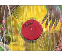 Haven't Stopped Dancing Yet / Just Let It Lay (Vinyl 12 Inch Single)