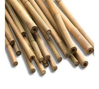 HAVENURA Gardens Strong Heavy Duty Professional Bamboo Plant Support Garden Canes | All lengths in stock 2, 3, 4, 5 & 6ft | Choose from a range of pack sizes from 10 to 250 | (10, 2ft, 6-8mm)
