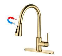 Havin Gold Kitchen Faucet with Pull Down Magnetic Sprayer, High Arc Stainless Steel Material, with cUPC Ceramic Cartridge,Without Deck Plate,Fit for 1 Hole Kitchen Sink