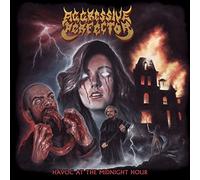 Havoc At The Midnight Hour [VINYL]