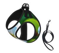 Hawaii Flower 1 Print Dog Harness Reflective Pet Vest Harness Puppy Harnesses Leash Set,For Walking Training