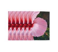 Hawaii Pink Flower Print Modern Set of 6 Dining Table Placemats Heat Resistant Place Mats for Home Decor