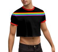Hawaii Shirt Men's Crop T-Shirt Rainbow Flag Pride Month Casual Shirt Short Sleeve Loose Fit Sports Shirt with Crew Neck Comfortable Fitness Shirt Quick-Drying Tee Top Streetwear, Q Black, M