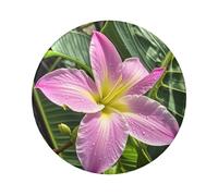 Hawaii Tropical Flower Button Pins 5 Pcs, 2.4 Inch Round Button Badges Metal Personalized Picture Photo Pin Buttons Kit For Craft Supplies Christmas Diy Party Projects