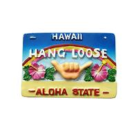 Hawaii USA Aloha 3D Fridge Magnet Souvenir Gift,Resin Handmade Hawaii Refrigerator Magnet Home & Kitchen Decoration Collection