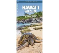 Hawai'i Wildlife, 2nd Ed: A Folding Pocket Guide to Familiar Animals (Nature Observation North America)