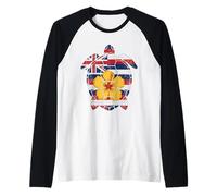 Hawaiian Flag Sea Turtle Pidgin Hawaii Hibiscus Flower Raglan Baseball Tee