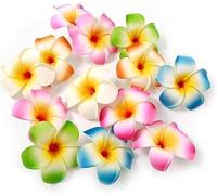 Hawaiian Plumeria Flower Hair Clips, 10 Pieces, Multicolor Beach Party Hair Accessories, 7cm, for Beach Party Hair Clips