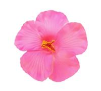 Hawaiian Styles Flower Hair Barrette For Women And Girl Nonslip Side Clip For Beach Parties And Spring Photography Flower Hair Clip