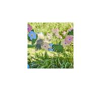 Hawaiian Tiki Palm & Flower Paper Party Decoration Hanging Party Bunting,Multi-coloured,2m