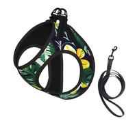 Hawaiian Tropical Leaves Flowers Print Pet Leash Vest,Breathable Mesh Pet Harness, Reflective For Small Medium Dogs Safe Easy Walking