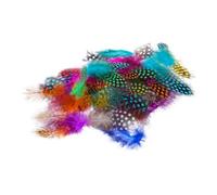 HAWILLOSCH 100Pcs DIY Colored Plumes for Home Decoration Wedding Party Craft Accessories Easy to Use Natural Plumes for Costume Making Party Centerpieces