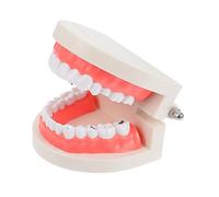 HAWILLOSCH 1pc Model for Boys and Girls Oral Cavity Tooth Brushing Educational Toy
