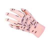 HAWILLOSCH Hand Training Model for Reflexology and Educational Hand Model with Precise Locations for Tcm Instruction and Massage