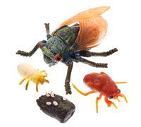 HAWILLOSCH Realistic Cicada Life Cycle Simulation Model for Educational Cognition Corrosion-resistant Animal Display Craft Fine Detail and Fall-resistant Learning