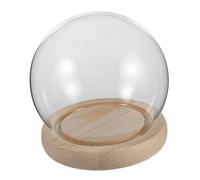 HAWILLOSCH Round Glass Dome Display Cloche with Transparent Cover and Wooden Base Protective Display Bell Jar for Eternal Flowers Mini Clay Figures Desktop Ornament Easy to Clean