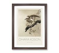 Hawk By Ohara Koson Exhibition Museum Asian Japanese Framed Print | A2 Walnut Framed Wall Art | Ready to Hang | Asian Nature Picture | Living Room Bedroom Lounge Office