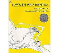 Hawk, i'm Your Brother