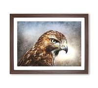 Hawk Painting Modern Art Framed Print | A3 Walnut Framed Wall Art | Ready to Hang | Modern Historical Picture | Living Room Bedroom Lounge Office
