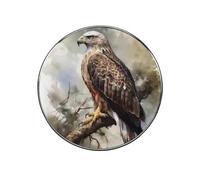 Hawk Sitting in The Tree Fridge Sticker Funny Fridge Magnets Novelty Round Fridge Magnets Reusable for Whiteboard, Locker, Kitchen, Office- Strong Decor Magnetic Stickers