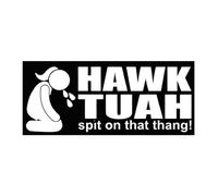 Hawk Tush Spit on That Thang Stickers - Hawk Tush Spit on That Thing Stickers | 10pcs Hawks Tush Car Stickers | Hawks Tush Spit on That Thing 2024 Parody Stickers | Laptop Bumper Decal for