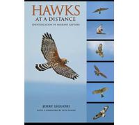 Hawks at a Distance: Identification of Migrant Raptors