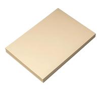 Hawksbill Cream Paper 80 GSM A4 - 100 Sheet Pack of Premium Paper for Copier Use Printing at Office & Home