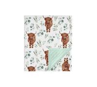 HawSkgFub Highland Cow Eucalyptus Leaf Minky Baby Blanket Dotted Backing Boy Girl, Western Farm Animal Yak Double Layer Nursery Bed Blankets, Soft Plush Newborn Infant Toddler Crib Bedding 30 x 40