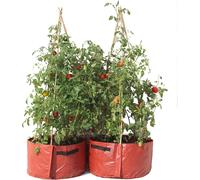 Haxnicks 2 x Tomato Patio Garden Planters | Easy To Use Cane Pockets | Effortle