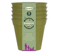 Haxnicks Bamboo Plant Pots 6In / 15Cm Sage Green (2 X Packs Of 5) Sustainable & Reusable