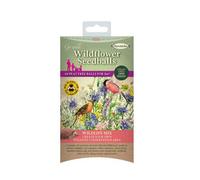 Haxnicks Peat-Free Seedballs 60 Pack 3M² Wildlife Mix Rhs Certified British Grown Seeds Eco-Friendly
