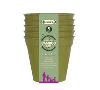 Haxnicks Sage Green Bamboo Plant Pot (Dia) 15Cm, (H)15Cm, Pack Of 5
