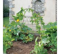 Haxnicks Square Ornamental Plant Support Frame 1M X 1M X 1.2M Galvanised Steel Space-Saving Vertical Growing Support
